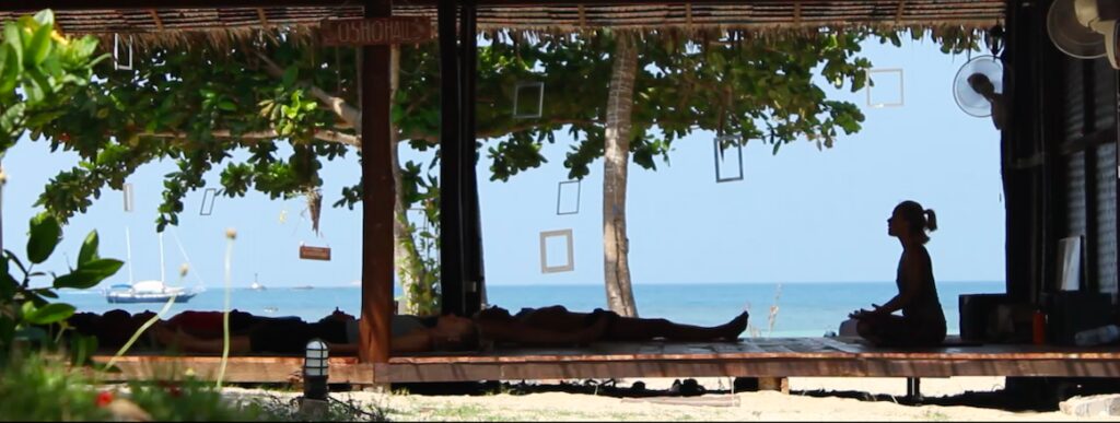Traditional Hatha Yoga