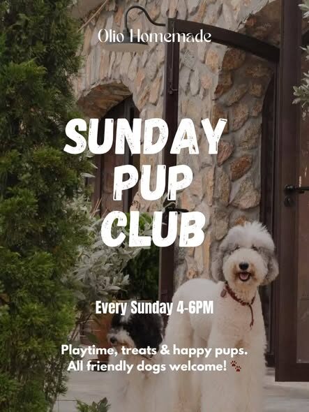 Sunday Dog Social @ Olio Homemade