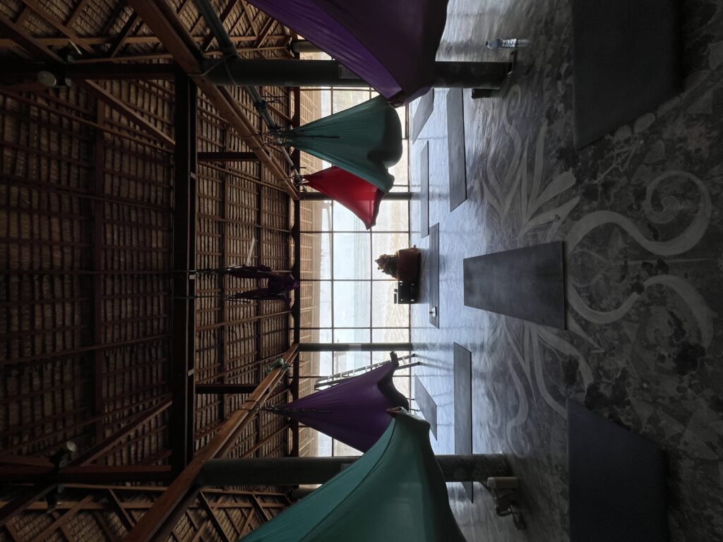 Aerial Yoga: Yin & Yang Flow