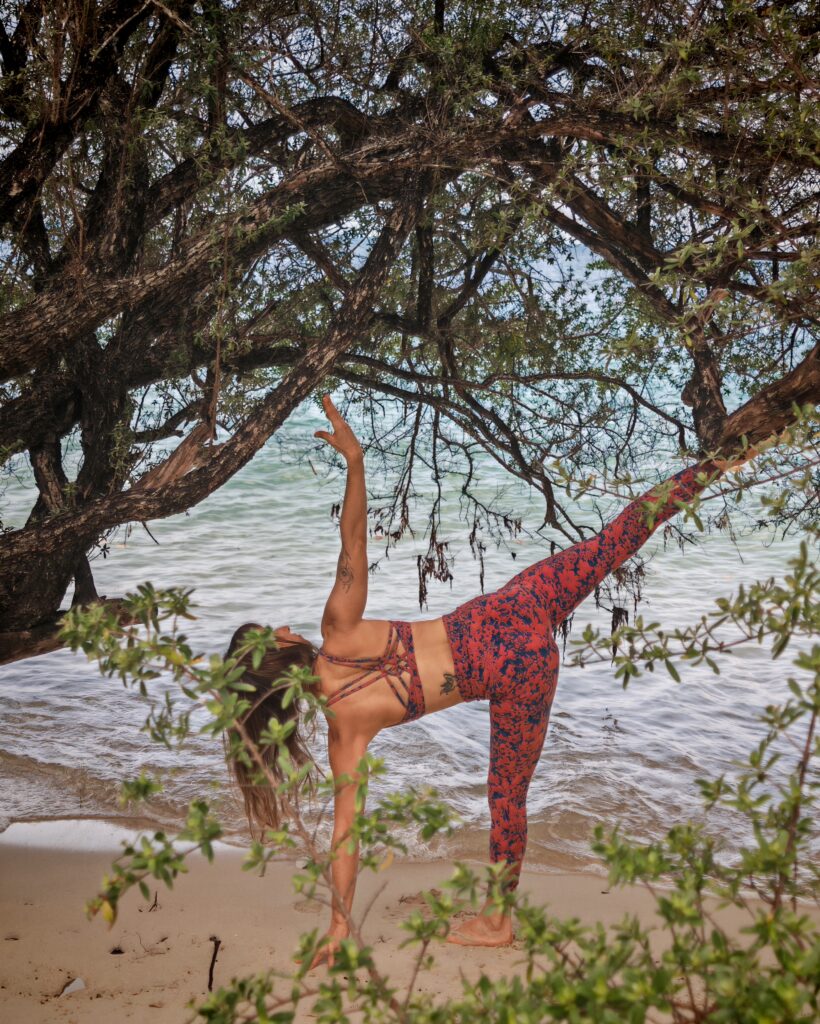 Dynamic Vinyasa Yoga