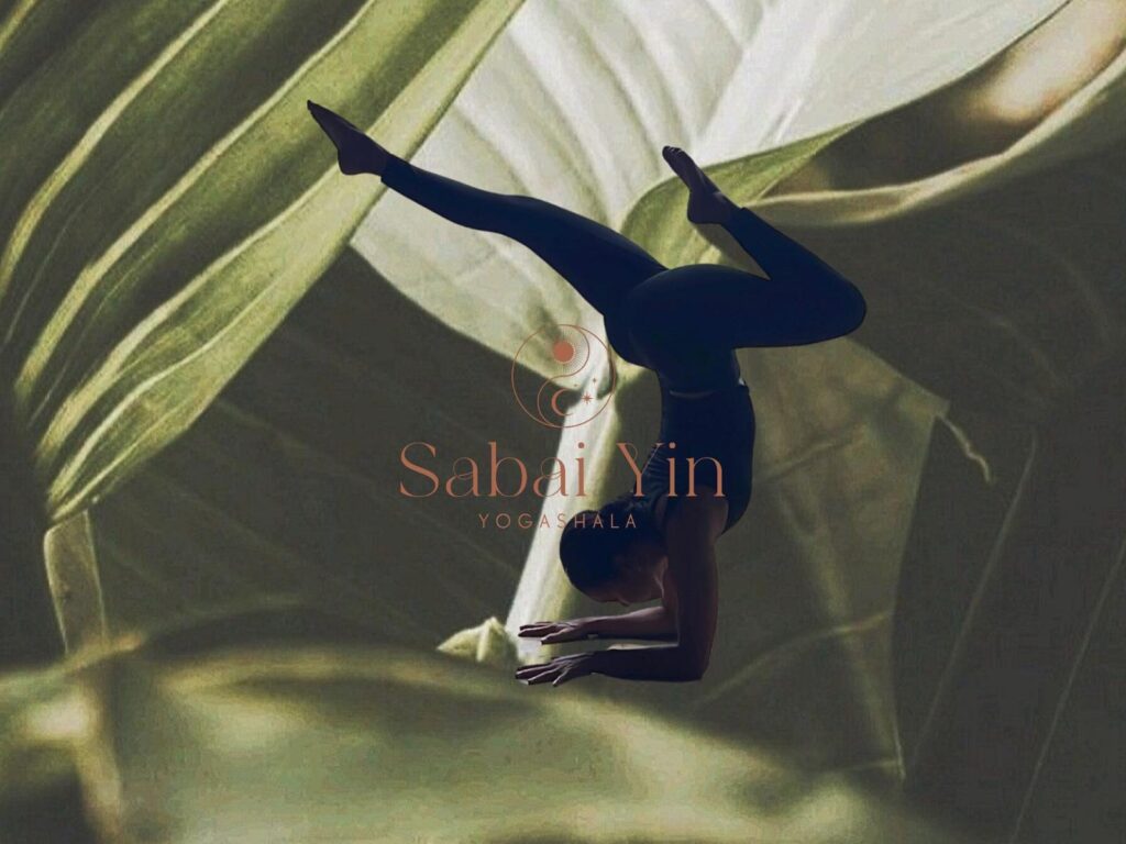 Vinyasa Flow