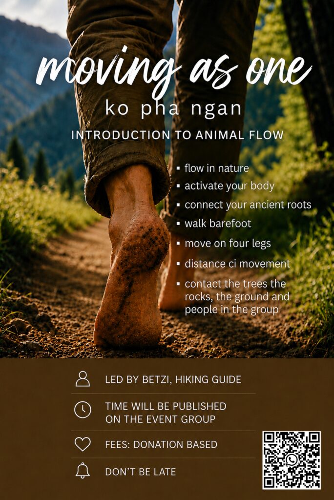 Moving As One: Introduction to Animal Flow