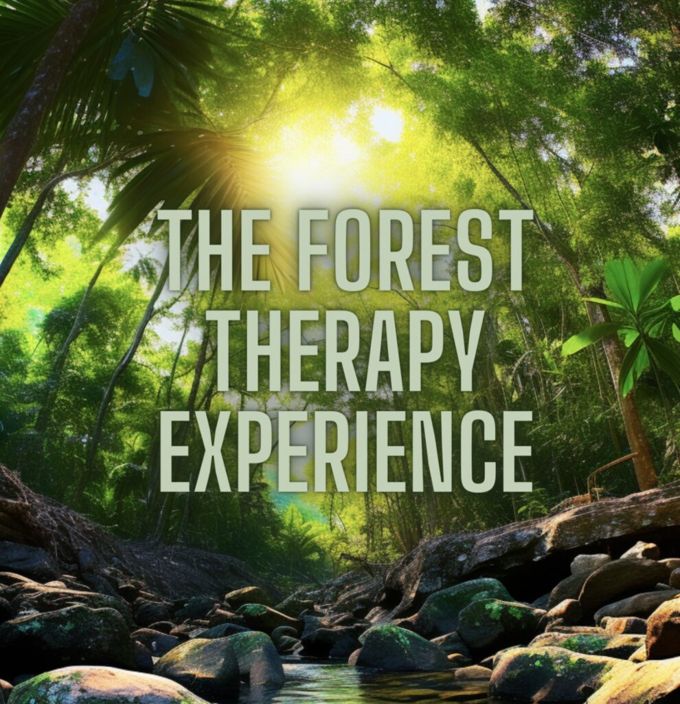 The Forest Therapy Experience