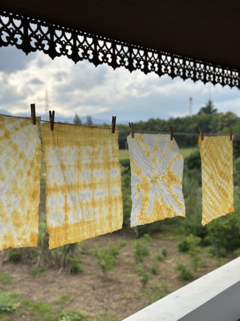 Turmeric Tie-Dye Workshop