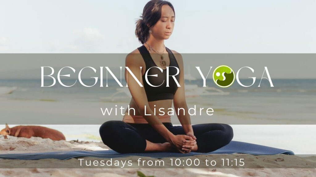 Beginner Yoga