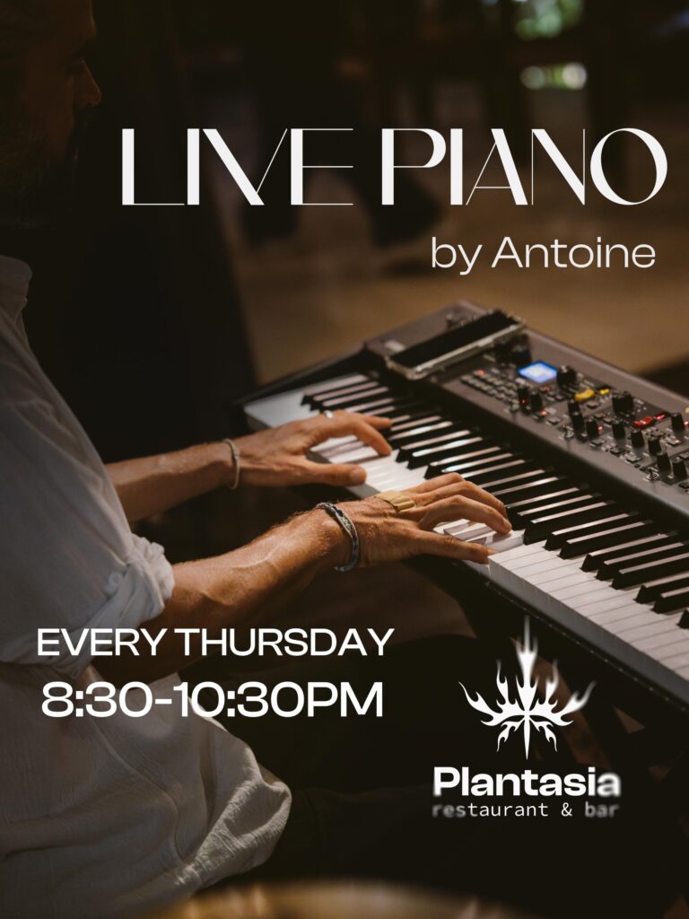Live Piano Night