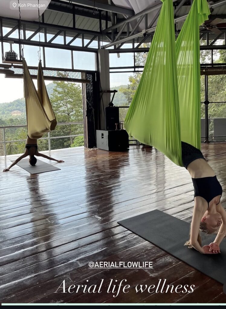 Private Aerial Yoga Session