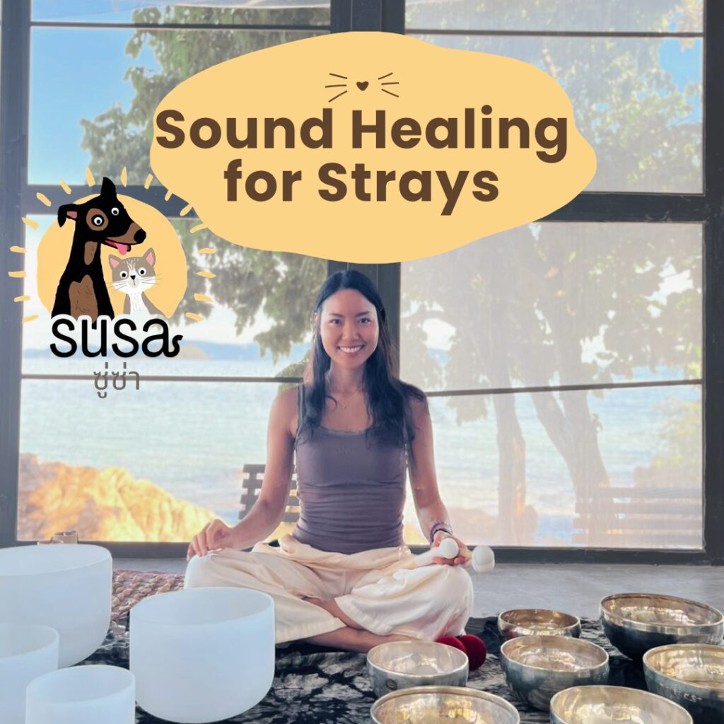 Sound Healing for Strays