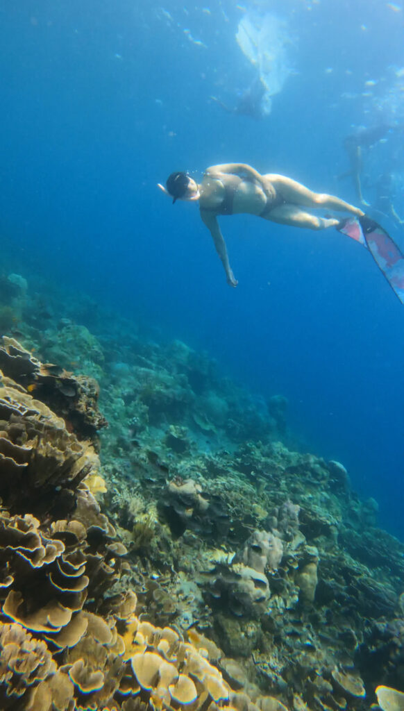 Freediving Yoga Vibration Medicine Retreat