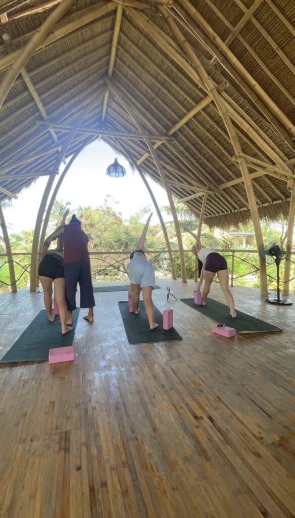 Alignment Yoga