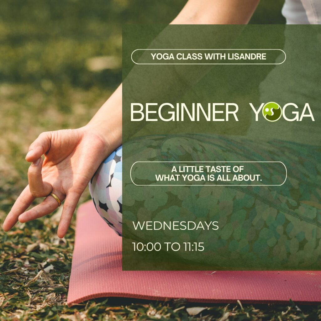 Beginner Yoga
