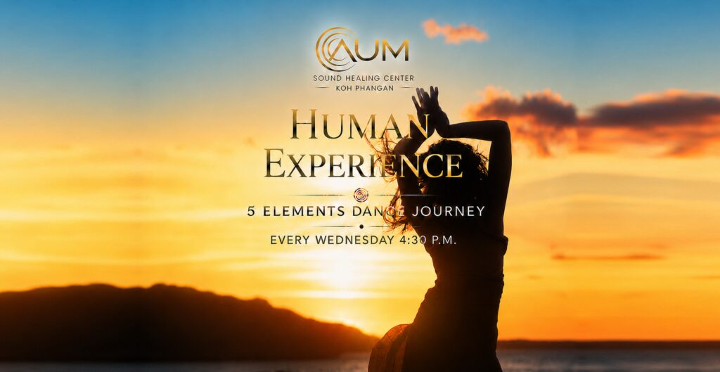Human Experience: 5 Elements Dance Journey