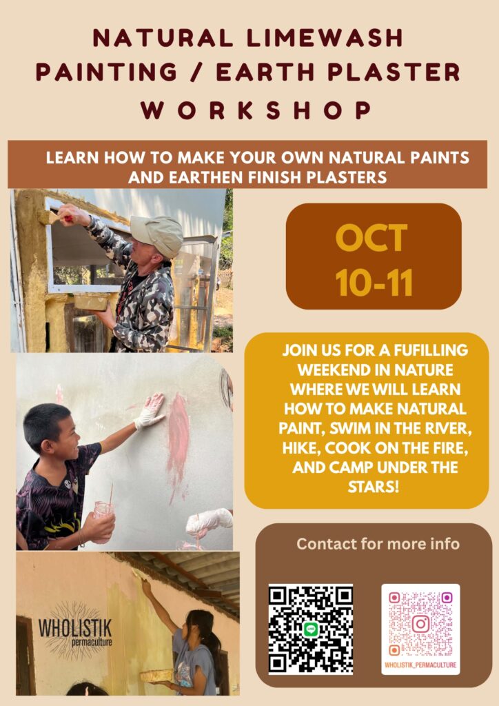 Make Your Own Natural Limewash Paint and Earthen Plaster Workshop