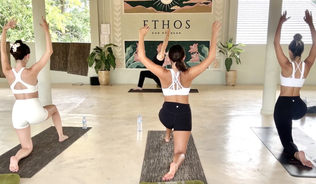 Hatha Vinyasa Yoga