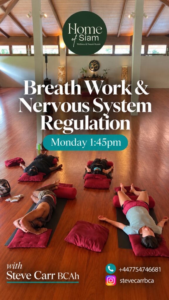 Breathwork for Nervous System Regulation