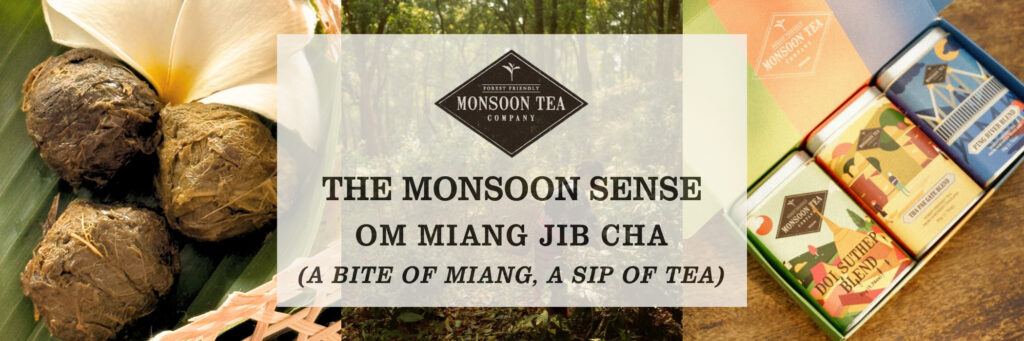 The Monsoon Sense: Om Miang Jib Cha (A Bite of Miang, A Sip of Tea)