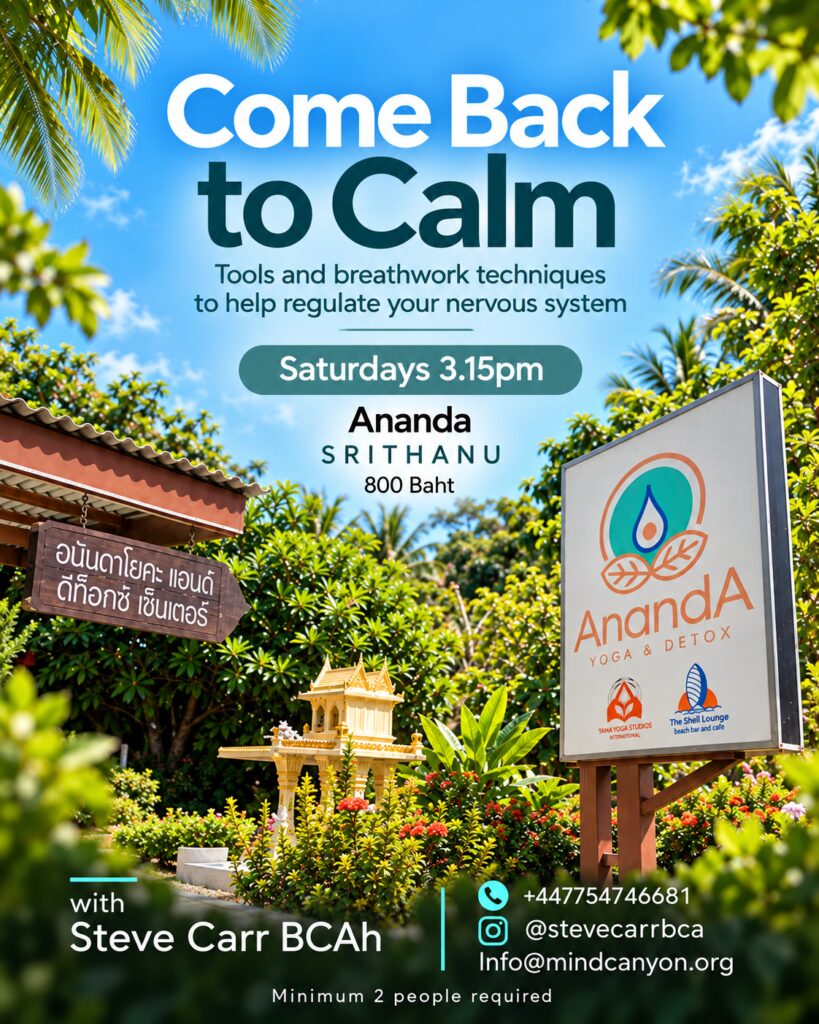 Come Back to Calm