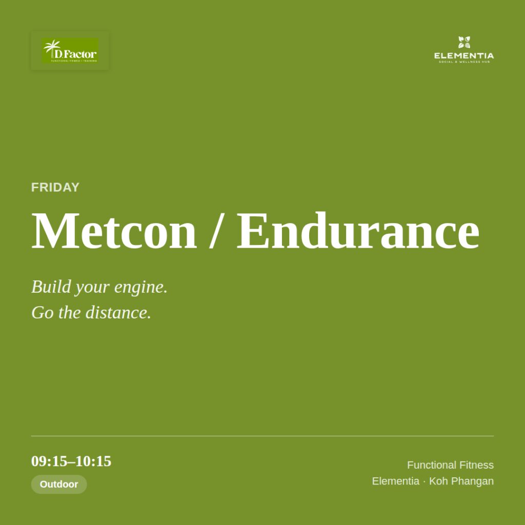 Functional Training: Metcon / Endurance