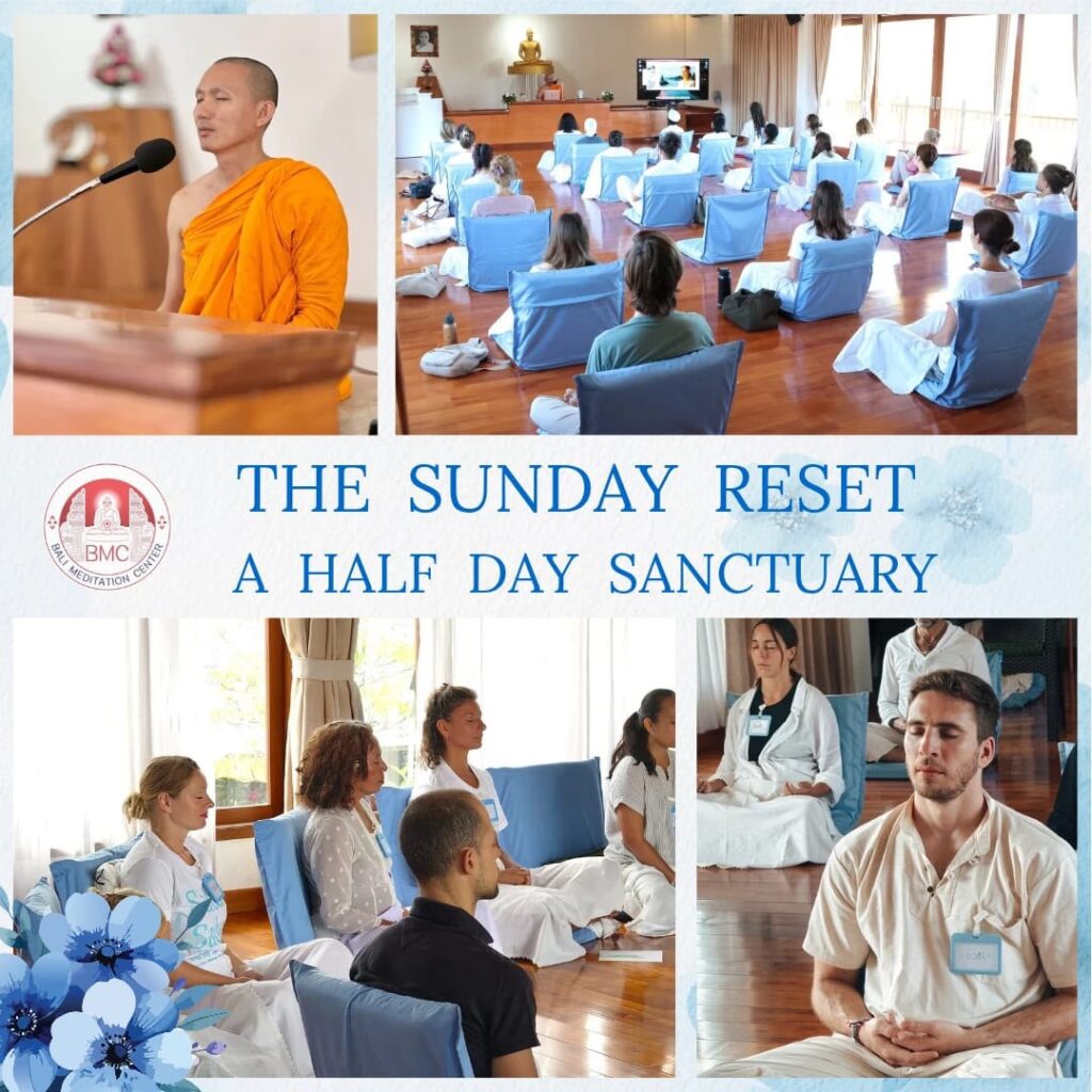 The Sunday Reset: A Half Day Sanctuary
