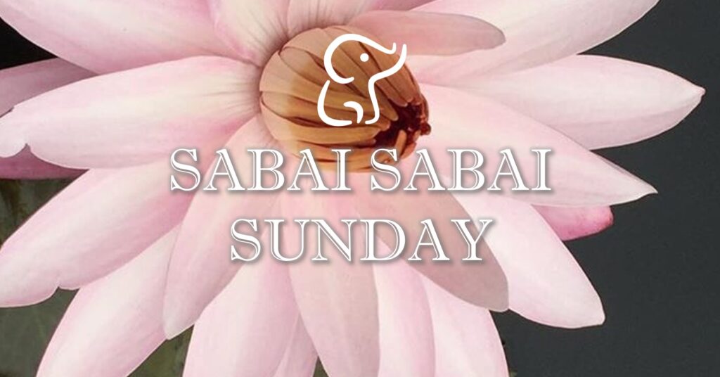 Sabai Sabai Sunday