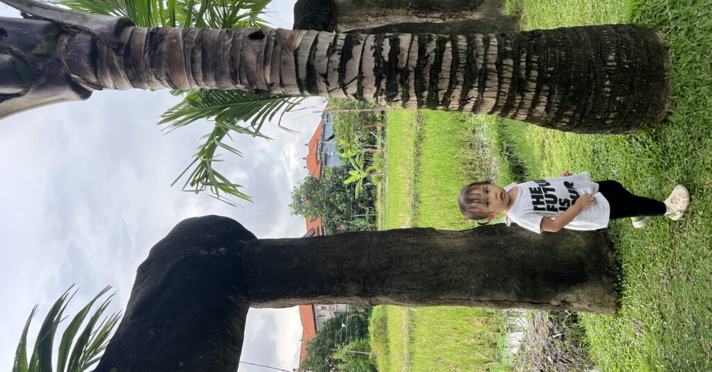 Ni Komang