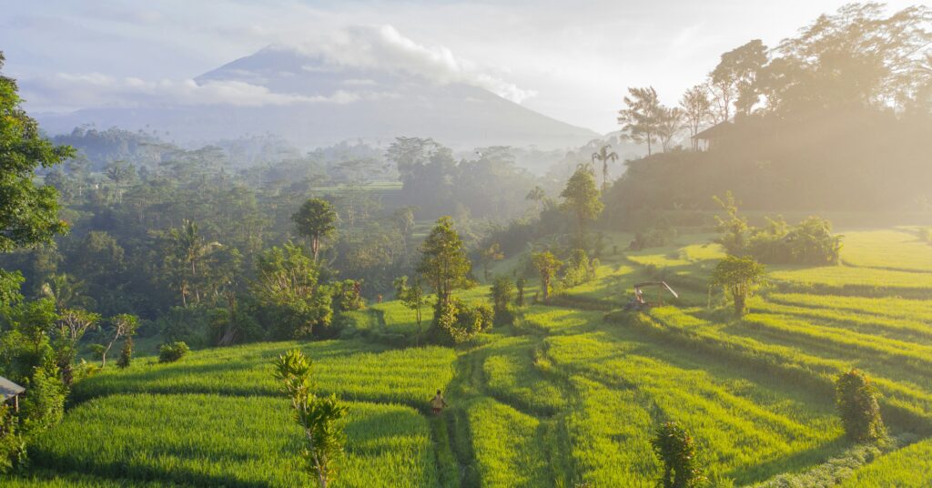 Ubud Tech Meetup