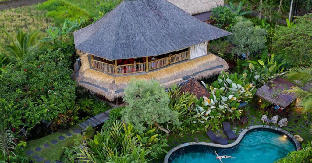  Dragonfly Village
